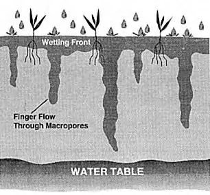 Capillary Fringe Image